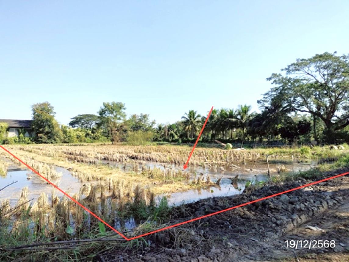 รูป ที่ดินว่างเปล่า 658.8 ตร.วา พาน เชียงราย 989,000 - รูปที่ 9/14