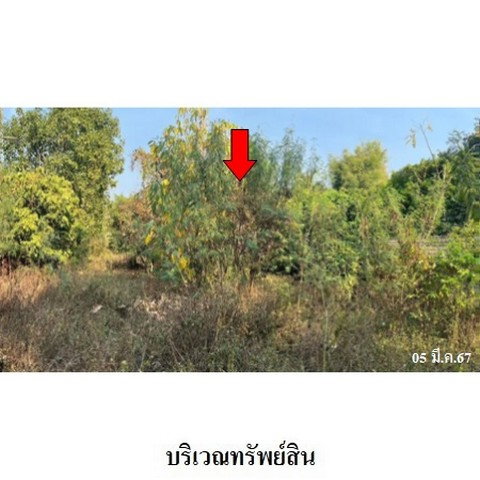 picture FOR SALE  HOUSE PROPERTY  9757000 BAHT. - 2/8