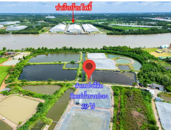 รูป ขายที่ดินติดแม่น้ำบางปะกง 59 ไร่ ตรงข้ามท่าเรือบ้านโพธิ์ ต.บ้านโพธิ์ อ.บ้านโพธิ์ จ.ฉะเชิงเทรา - รูปที่ 5/6