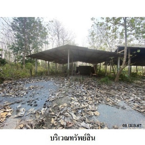 รูป Z3A2184 ขายโกดัง ตำบล นาโป่ง อำเภอ เถิน จังหวัด ลำปาง - รูปที่ 5/8