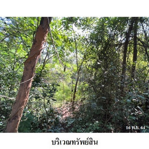 รูป Z8Z3194 ขายที่ดินเปล่า โครงการ ล้านนาคันทรีปาร์ค ตำบล ศาลา อำเภอ เกาะคา จังหวัด ลำปาง - รูปที่ 4/8