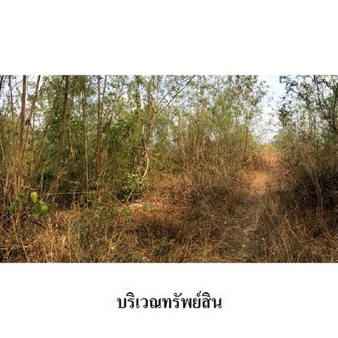 picture FOR SALE  LAND PROPERTY  2099000 BAHT. - 6/8