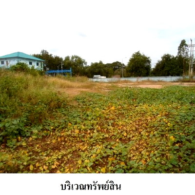 ที่ดิน สิงห์บุรี : Z4T0206 ขายที่ดินเปล่า ตำบล โพชนไก่ อำเภอ บางระจัน จังหวัด สิงห์บุรี