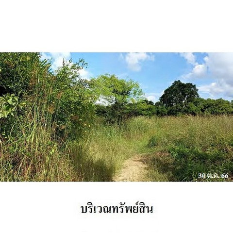 picture FOR SALE LAND PROPERTY 3273000 BAHT. - 3/8