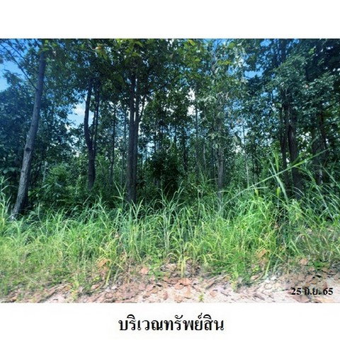 รูป Z3A1906 ขายที่ดินเปล่า ตำบล ห้างฉัตร อำเภอ ห้างฉัตร จังหวัด ลำปาง - รูปที่ 3/8