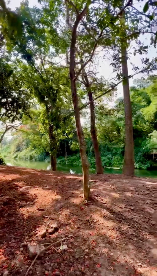 picture Khao Yai land — riverfront on Lam Takhong, truly rare! Riverfront plus a wide frontage - 2/5