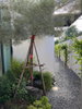 listing thumbnail image 16