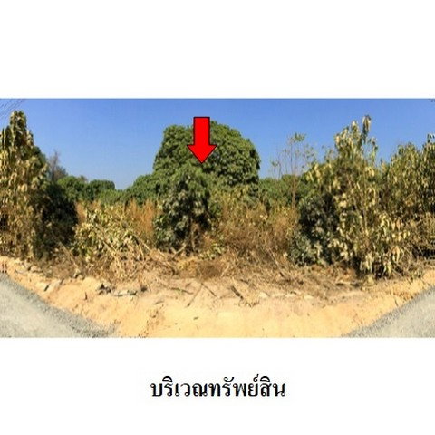 picture FOR SALE  LAND PROPERTY  7034000 BAHT. - 5/8