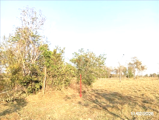 รูป ที่ดินว่างเปล่า 4204 ตร.วา ศรีณรงค์ สุรินทร์ 1.3M - รูปที่ 2/16