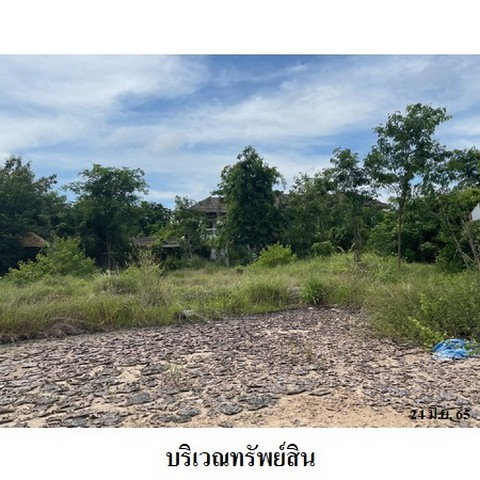 picture FOR SALE LAND PROPERTY 55082000 BAHT. - 8/8
