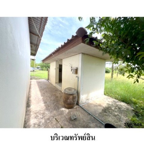 รูป ZHL0514 ขายบ้านเดี่ยว ตำบล สามง่ามท่าโบสถ์ อำเภอ หันคา จังหวัด ชัยนาท - รูปที่ 3/8