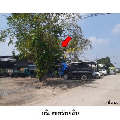 รูป Z8Z7141 ขายบ้าน ตำบล บางไทร อำเภอ บางไทร จังหวัด พระนครศรีอยุธยา - รูปที่ 6/8