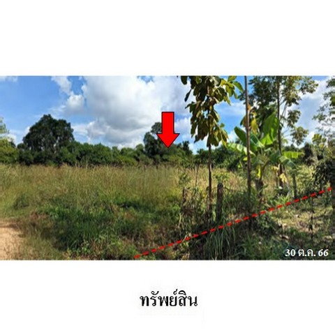 picture FOR SALE LAND PROPERTY 3273000 BAHT. - 8/8