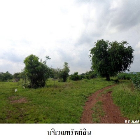 picture FOR SALE LAND PROPERTY 12410000 BAHT. - 4/8