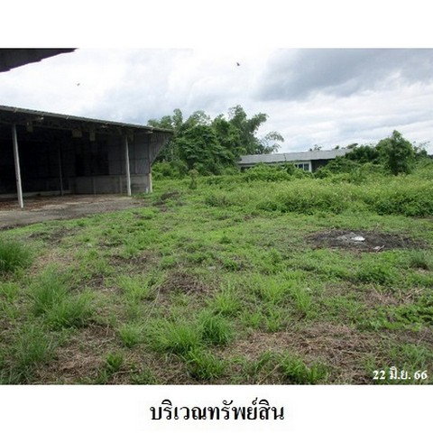รูป Z3A0435 ขายโกดัง ตำบล สันกลาง อำเภอ พาน จังหวัด เชียงราย - รูปที่ 6/8