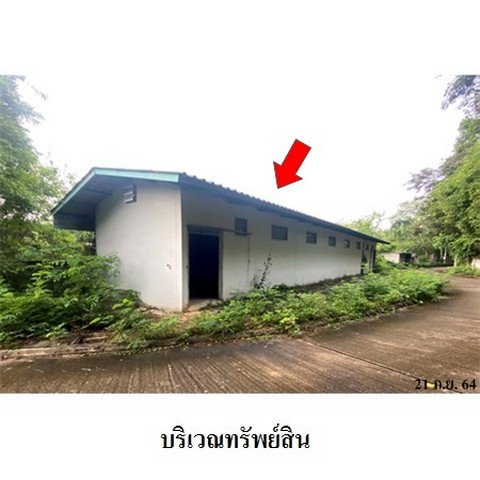 รูป Z8Z3200 ขายโกดัง โครงการ ล้านนาคันทรีปาร์ค ตำบล ศาลา อำเภอ เกาะคา จังหวัด ลำปาง - รูปที่ 2/8