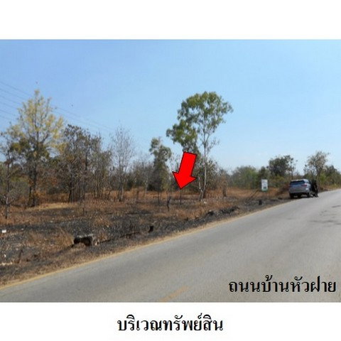 picture FOR SALE LAND PROPERTY 9761000 BAHT. - 2/8