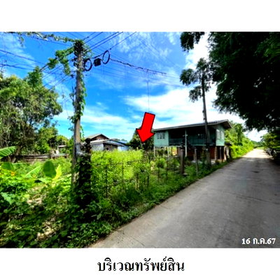 ขายบ้านเดี่ยว : Z3A1336 ขายบ้านเดี่ยว ตำบล บ้านนา อำเภอ มหาราช จังหวัด พระนครศรีอยุธยา