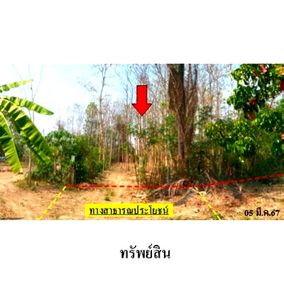 ที่ดิน เกาะคา ลำปาง : ZLL0067 ขายที่ดินเปล่า ตำบล นาแก้ว อำเภอ เกาะคา จังหวัด ลำปาง