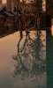 listing thumbnail image 36