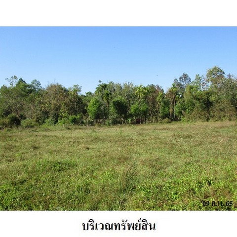 picture FOR SALE  LAND PROPERTY  8330000 BAHT. - 3/8