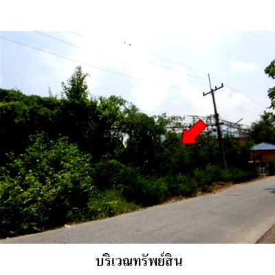 ที่ดิน พระนครศรีอยุธยา : Z2T0351 ขายที่ดินเปล่า ตำบล ชะแมบ อำเภอ วังน้อย จังหวัด พระนครศรีอยุธยา