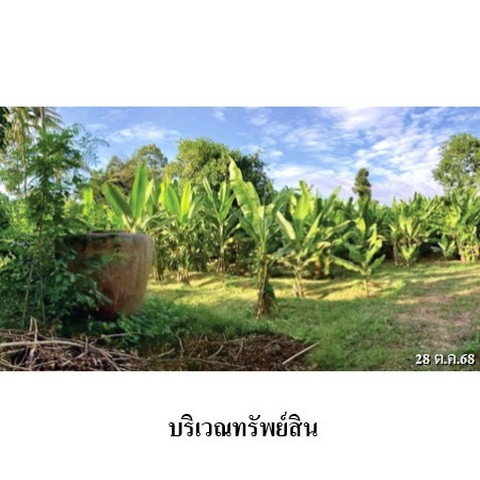 รูป ZHL0890 ขายที่ดินเปล่า ตำบล ท่าโพธิ์ อำเภอ เมืองพิษณุโลก จังหวัด พิษณุโลก - รูปที่ 5/8