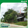listing thumbnail image 9