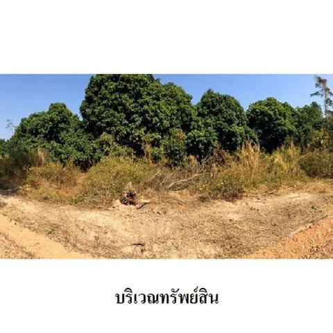 picture FOR SALE  LAND PROPERTY  7034000 BAHT. - 8/8