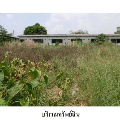 รูป Z2T0351 ขายที่ดินเปล่า ตำบล ชะแมบ อำเภอ วังน้อย จังหวัด พระนครศรีอยุธยา - รูปที่ 3/8