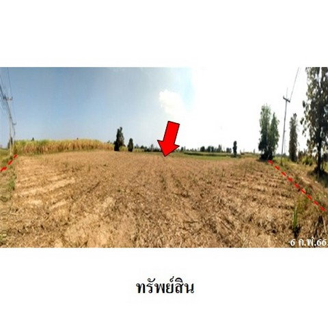 รูป Z3A2187 ขายที่ดินเปล่า ตำบล บึงกอก อำเภอ บางระกำ จังหวัด พิษณุโลก - รูปที่ 8/8