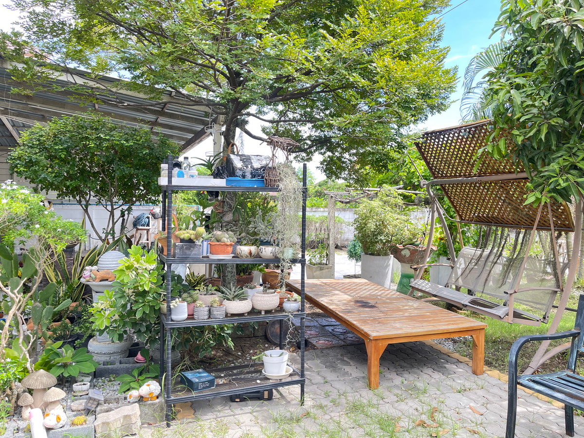 รูป ขายบ้านวิวไม้โครงการ 2 บ้านเดี่ยวพร้อมสวน 227.00 ตร.ว.  ใจกลางศรีราชา เชื่อมต่อถนนสุขุมวิท และมอเตอร์เวย์สาย 7 - รูปที่ 35/42