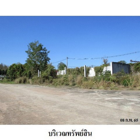 รูป Z2T0012 ขายที่ดินเปล่า ตำบล ขี้เหล็ก อำเภอ แม่แตง จังหวัด เชียงใหม่ - รูปที่ 5/8