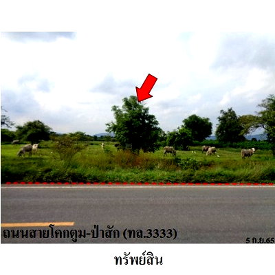 Land for sale Lopburi : FOR SALE  LAND PROPERTY  12410000 BAHT.