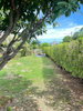 listing thumbnail image 38