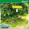 listing thumbnail image 21