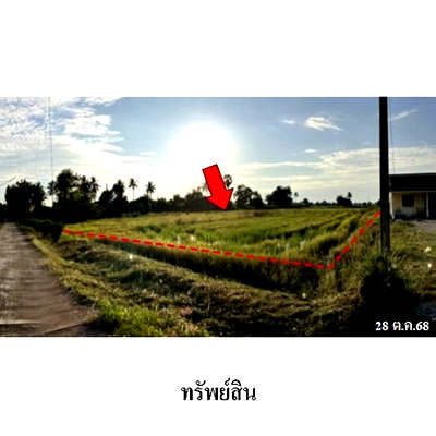 Land for sale Muang Phitsanulok Phitsanulok : FOR SALE  LAND PROPERTY  8125000 BAHT.