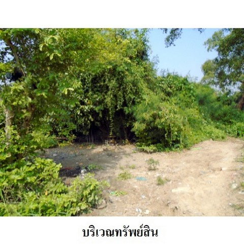 picture FOR SALE  LAND PROPERTY  12899000 BAHT. - 5/8