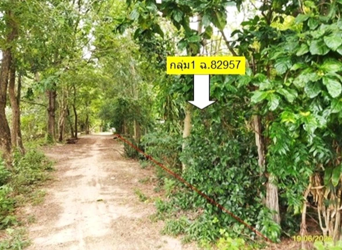 รูป ที่ดินว่างเปล่า 3278 ตร.วา ยางตลาด กาฬสินธุ์ 2.7M - รูปที่ 14/24