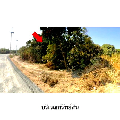 Land for sale Chom Thong Chiang Mai : FOR SALE  LAND PROPERTY  7034000 BAHT.
