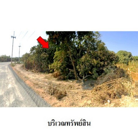 picture FOR SALE  LAND PROPERTY  7034000 BAHT. - 1/8