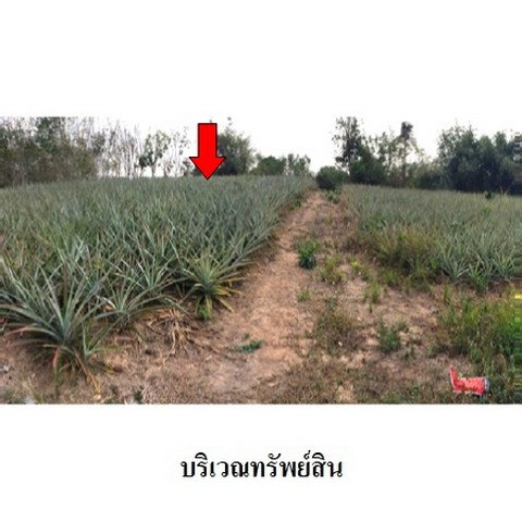 picture FOR SALE  LAND PROPERTY  1530000 BAHT. - 6/8