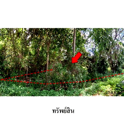 Land for sale Doi Saket Chiang Mai  : FOR SALE  LAND PROPERTY  1076000 BAHT.
