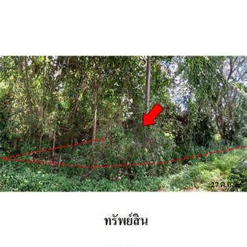 FOR SALE  LAND PROPERTY  1076000 BAHT.