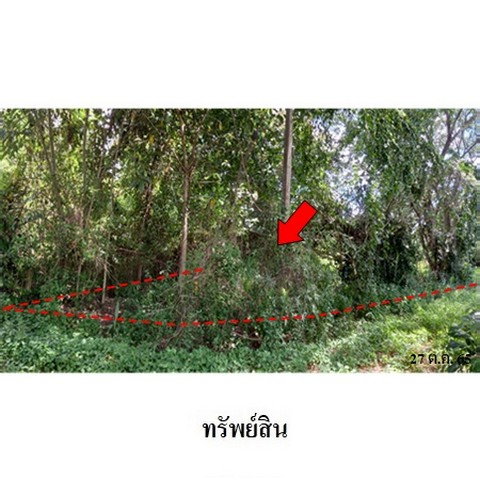 picture FOR SALE  LAND PROPERTY  1076000 BAHT. - 1/8