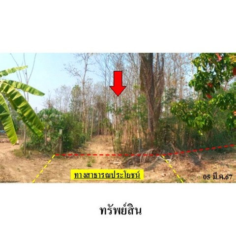 รูป ZLL0067 ขายที่ดินเปล่า ตำบล นาแก้ว อำเภอ เกาะคา จังหวัด ลำปาง - รูปที่ 4/8