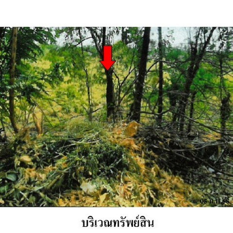 picture FOR SALE LAND PROPERTY 15155000 BAHT. - 8/8
