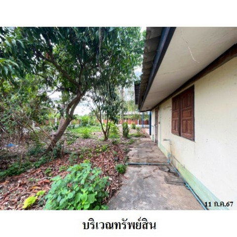 picture FOR SALE  WAREHOUSE PROPERTY  3169000 BAHT. - 7/8