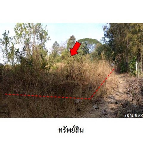 picture FOR SALE  LAND PROPERTY  4863000 BAHT. - 8/8