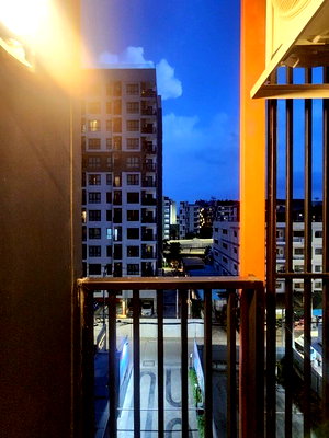 ขายคอนโด : A045936 Brixton Pet & Play Sukhumvit 107